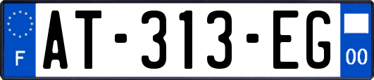 AT-313-EG