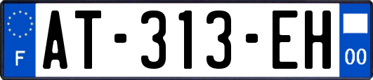AT-313-EH