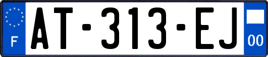 AT-313-EJ