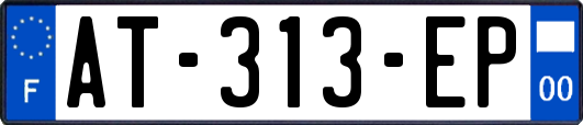AT-313-EP