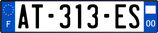 AT-313-ES