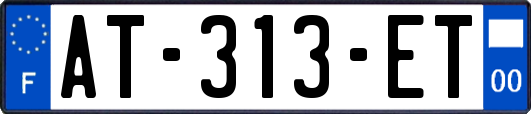 AT-313-ET