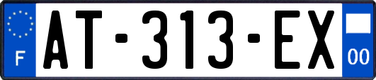 AT-313-EX