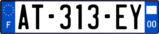 AT-313-EY
