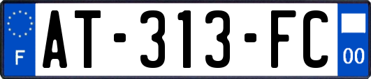 AT-313-FC