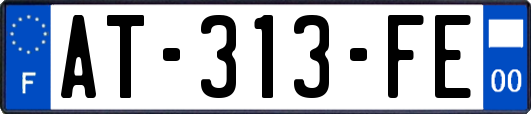 AT-313-FE