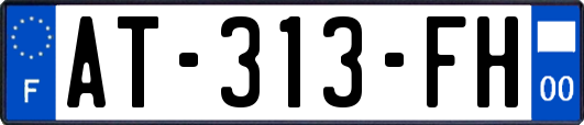 AT-313-FH