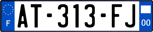 AT-313-FJ