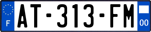 AT-313-FM