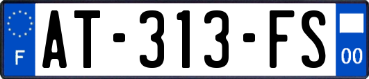 AT-313-FS