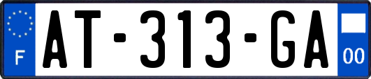 AT-313-GA