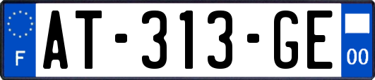 AT-313-GE