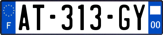 AT-313-GY