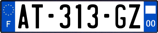 AT-313-GZ