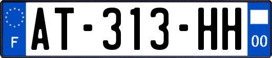 AT-313-HH