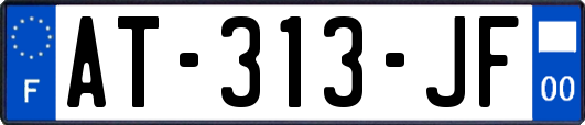 AT-313-JF