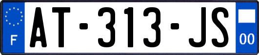 AT-313-JS