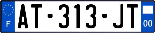AT-313-JT