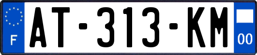 AT-313-KM