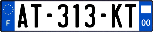AT-313-KT