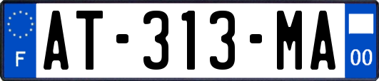 AT-313-MA