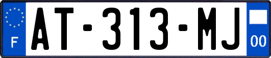 AT-313-MJ