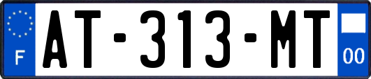 AT-313-MT