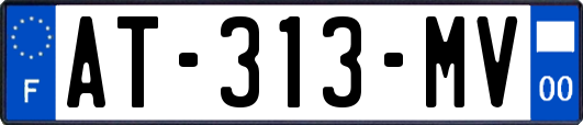 AT-313-MV
