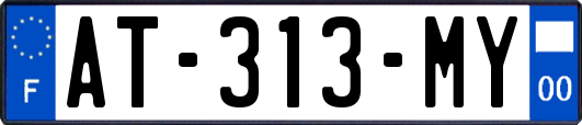 AT-313-MY