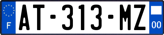 AT-313-MZ