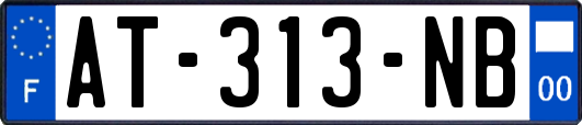 AT-313-NB