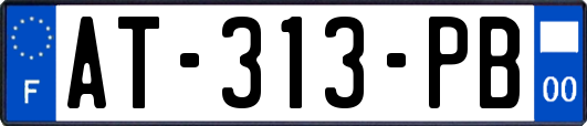 AT-313-PB