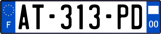 AT-313-PD