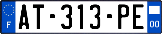 AT-313-PE