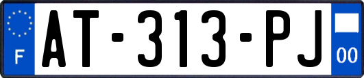 AT-313-PJ