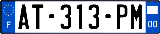AT-313-PM
