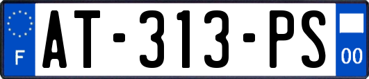 AT-313-PS