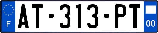 AT-313-PT