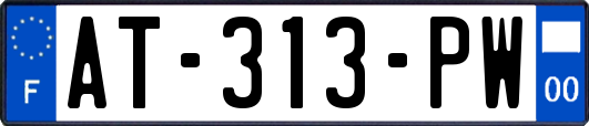 AT-313-PW