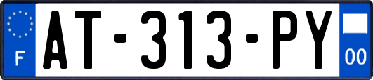 AT-313-PY