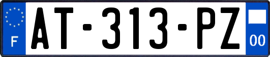 AT-313-PZ