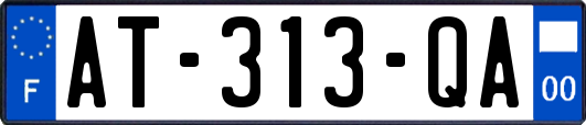 AT-313-QA