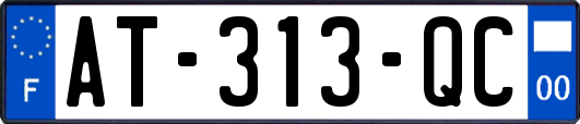 AT-313-QC