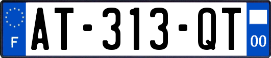 AT-313-QT