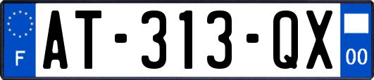 AT-313-QX