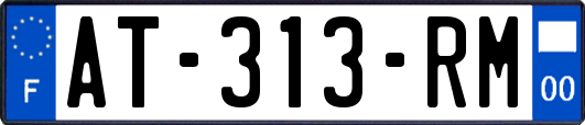 AT-313-RM