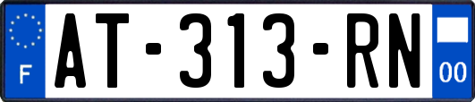 AT-313-RN