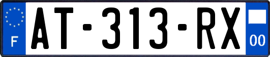 AT-313-RX