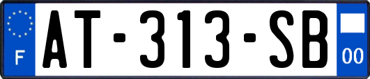 AT-313-SB