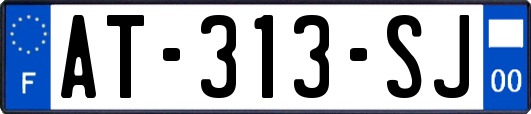 AT-313-SJ